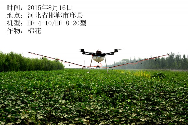 2015年8月16日市邱縣棉花作業